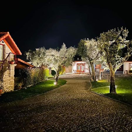 Penedo Village Marco de Canavezes Extérieur photo